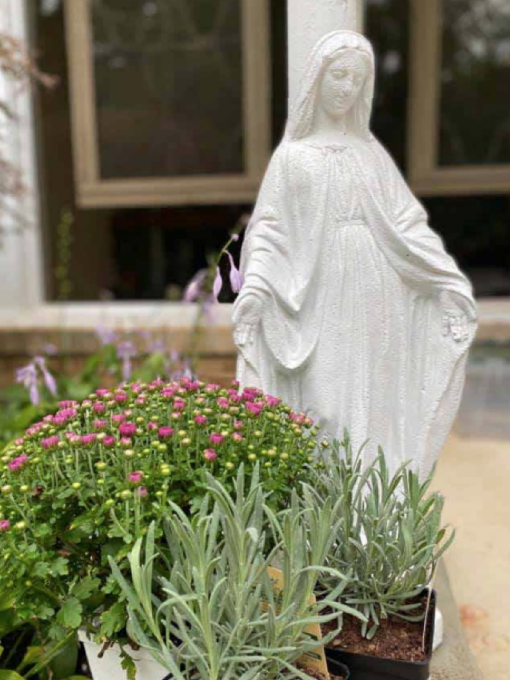 Screen Shot 2021 08 10 At 10.02.09 Pm